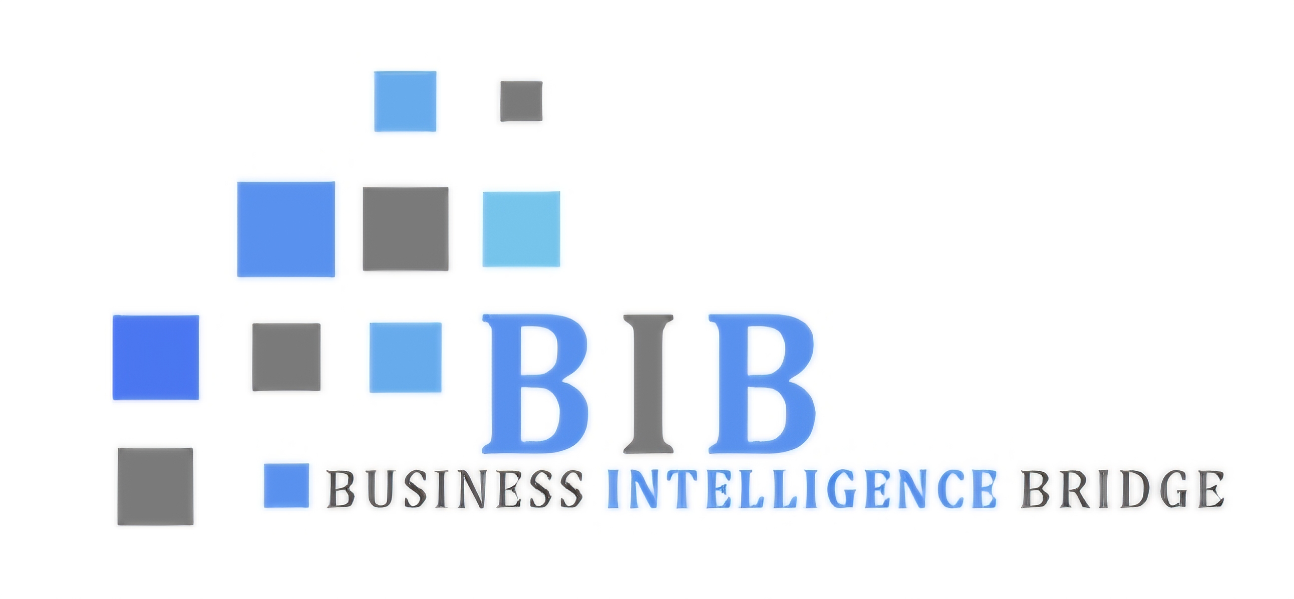BIB Busıness Intellıgence Brıdge