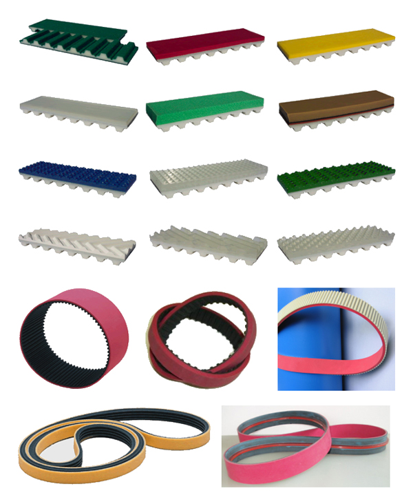 Coated Belts