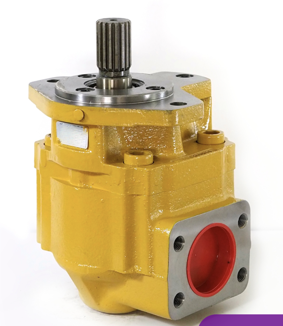 ECOLE Cast Iron Gear Pumps & Motors | High-Pressure Hydraulic Power