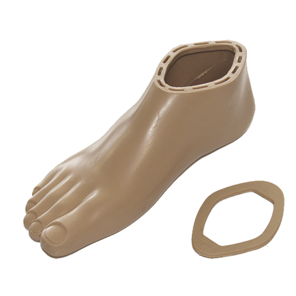 Advanced Prosthetic Feet, Adapters & Knee-Hip Systems