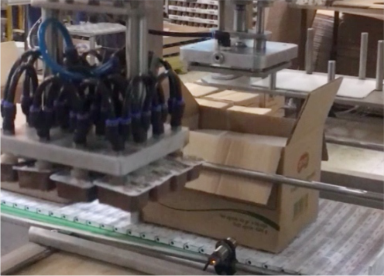 Robot Picking Machine – Automatic Product Collection & Sorting System