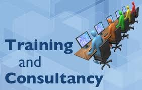 Training & Consulting Services | BİB-Web