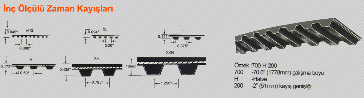 Inch Timing Belt