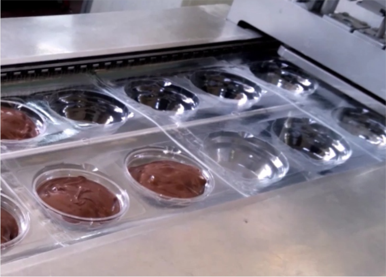 Gas Flush Vacuum Machine – Modified Atmosphere Packaging (MAP) System